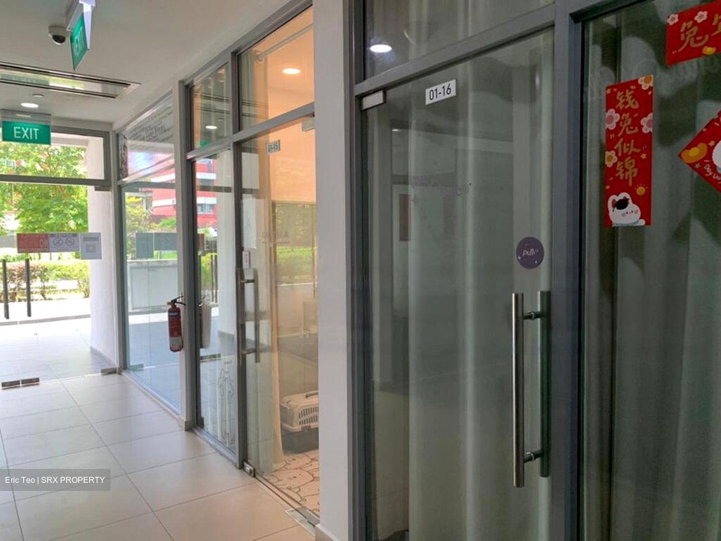 Suites @ Bukit Timah (D21), Shop House #473888201